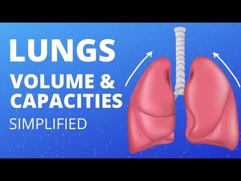 Lung Volume and Capacities Explained in Hindi