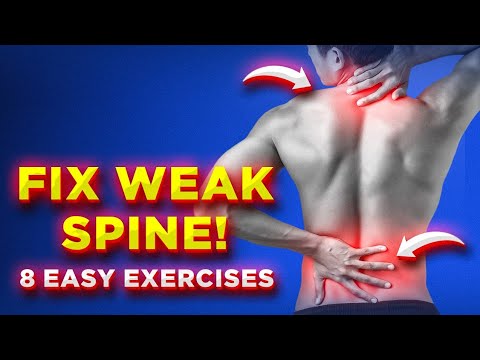 8 Easy Spine Strengthening Exercises| कमजोर रीड की हड्डियों के लिए ये exercises करें