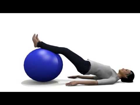 6 Exercise Ball Workout for Back Pain