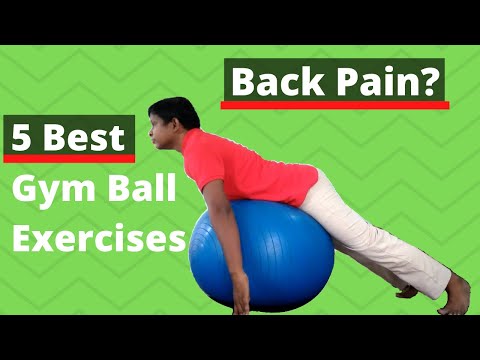 5 Best Ball Exercises for Back Pain (Hindi)