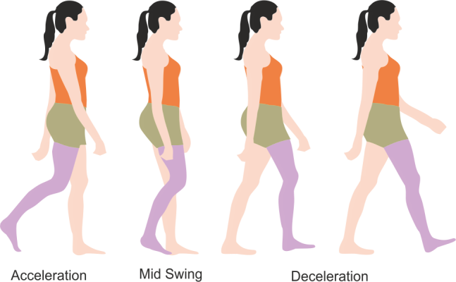 Gait Cycle Phases Definition And Analysis Physiosunit 