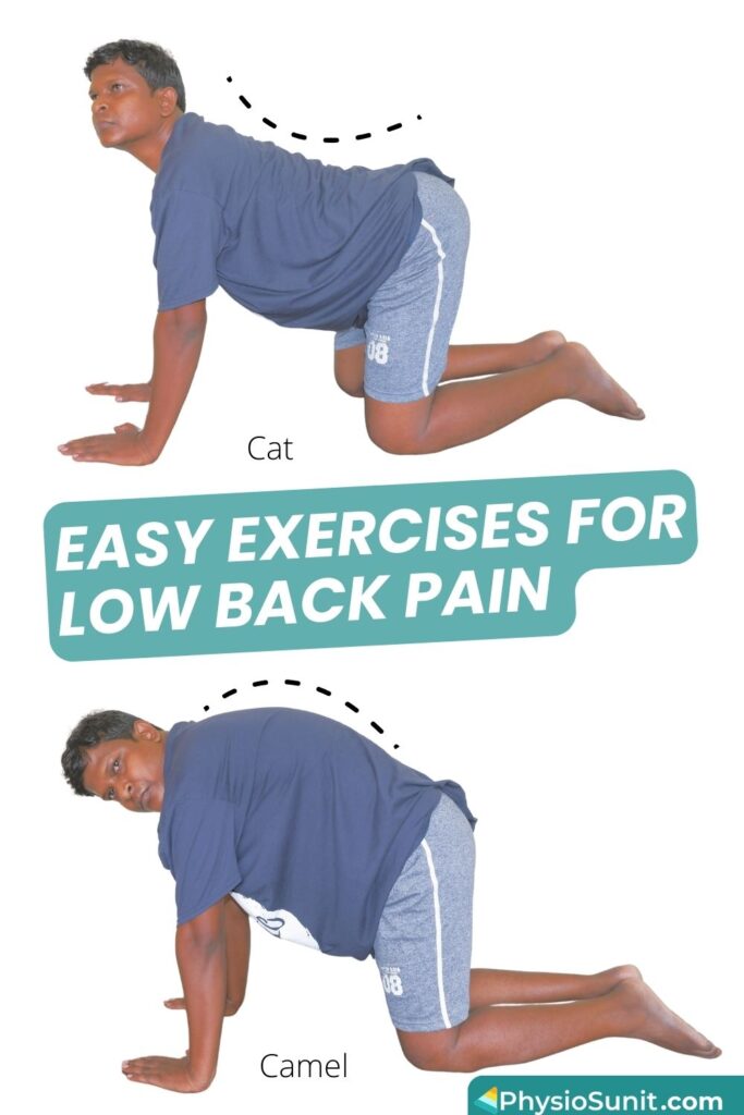 cat camel stretch for low back pain