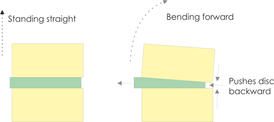 impact on inter-vertebral disc on bending over