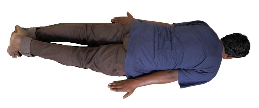 prone anatomical positions