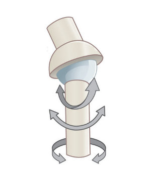 ball and socket joint