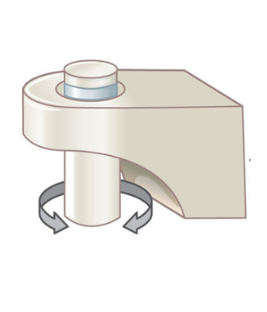 pivot type of joints