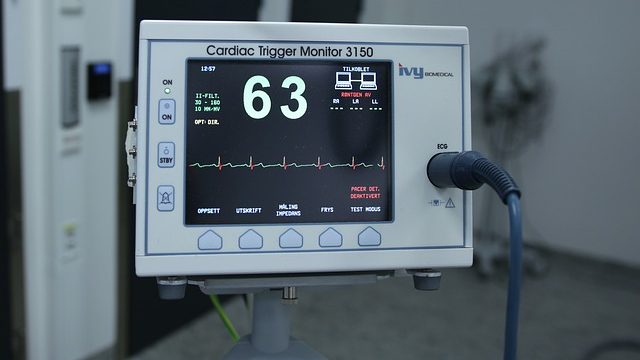 cropped ECG has hidden info of overall health status AI can predict