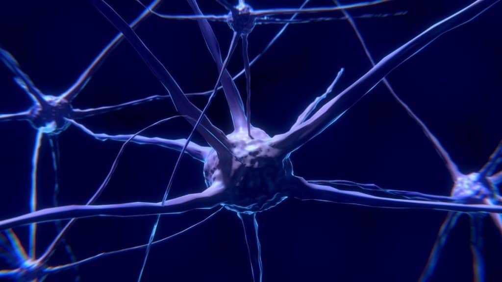 drug to repair spinal cord injury brain damage