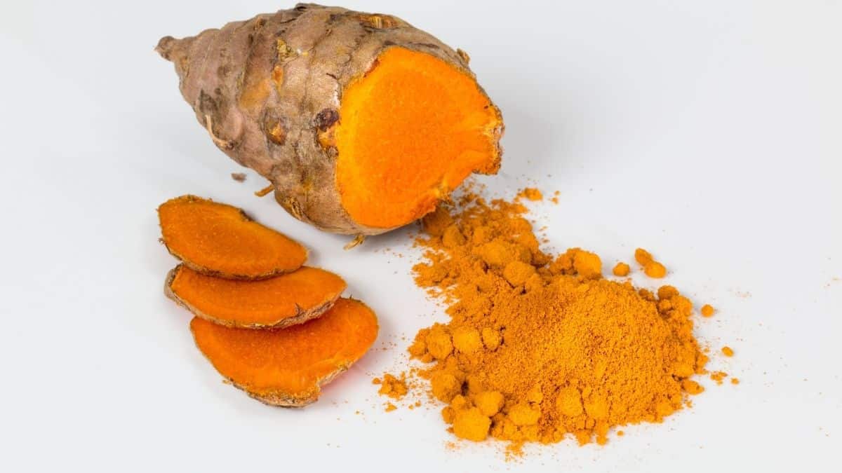 Turmeric can Help in Osteoarthritis Knee Pain