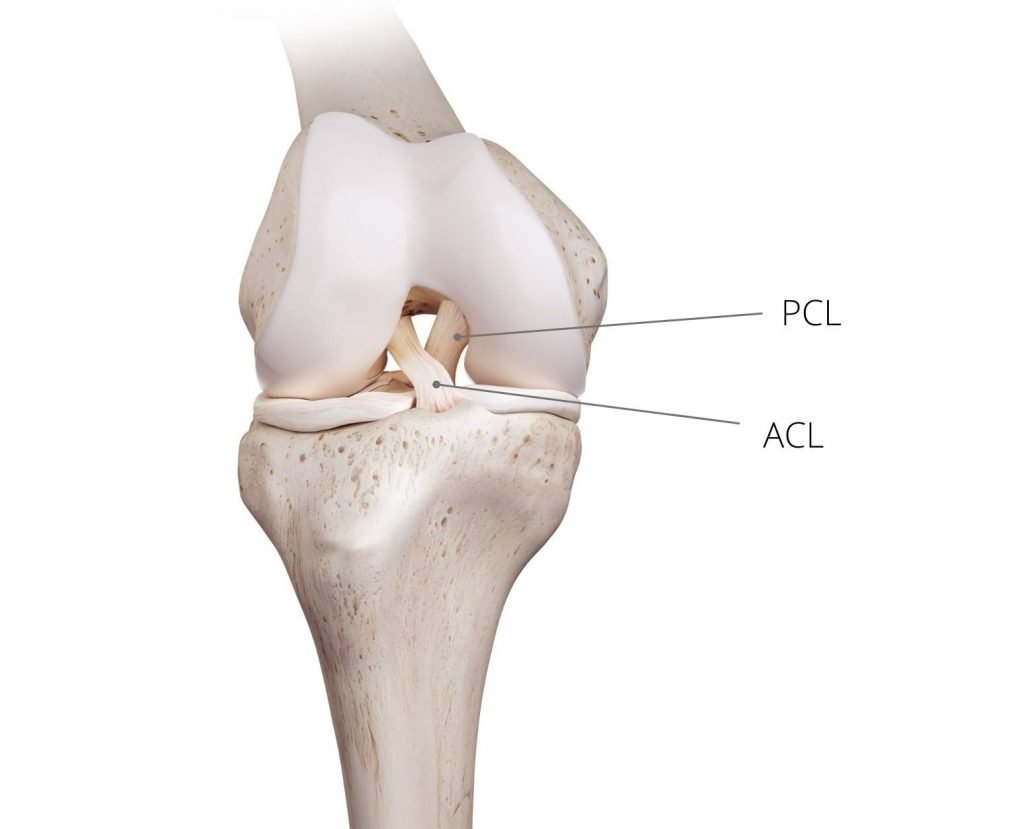 anterior cruciate ligament injury