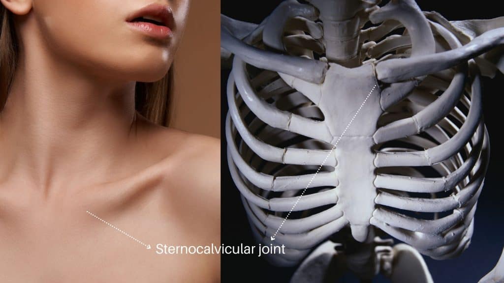Dislocated Collarbone Heres 11 Easy Sternoclavicular Joint Rehab
