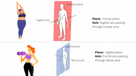 Example of human body plane and axis