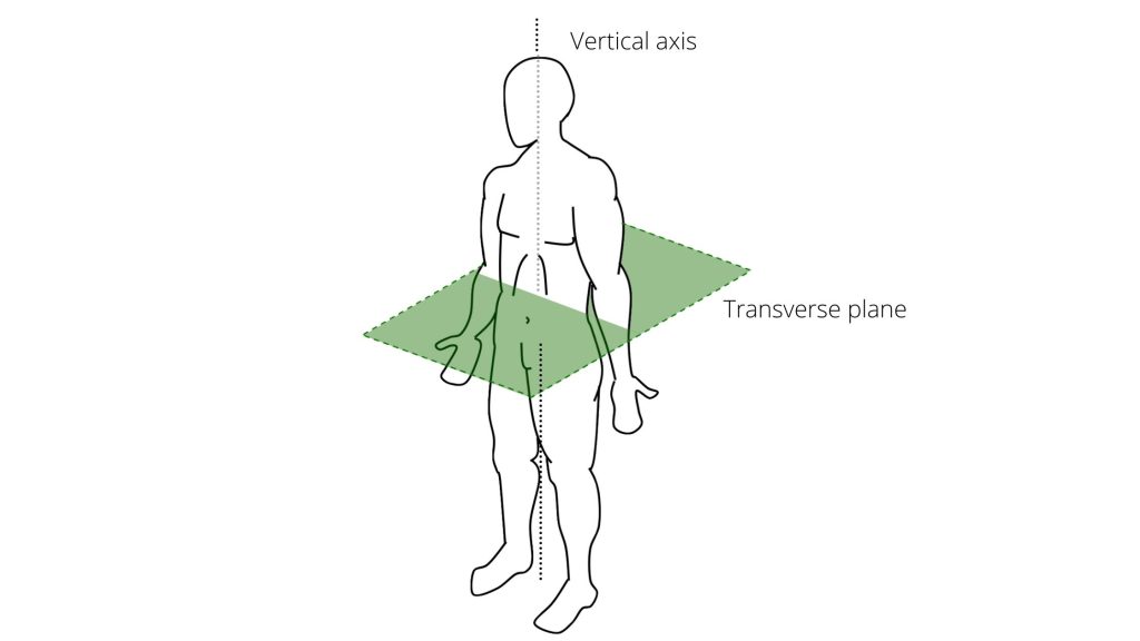 transverse plane vertical axis