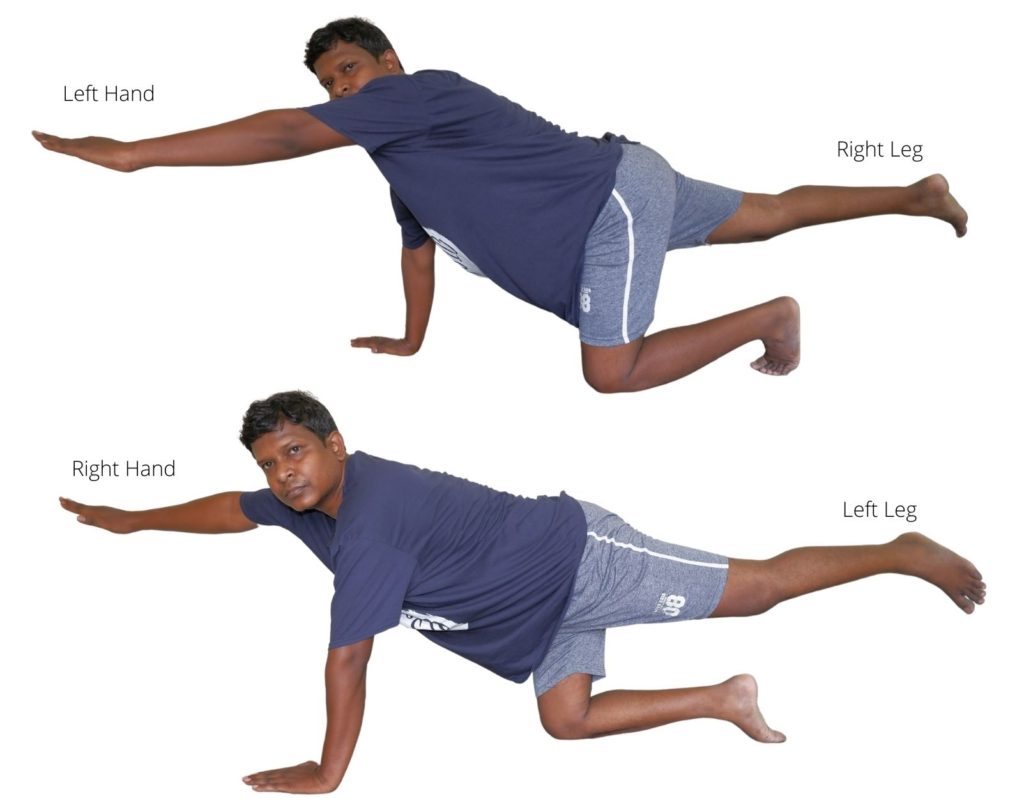 chronic back pain strengthening exercise