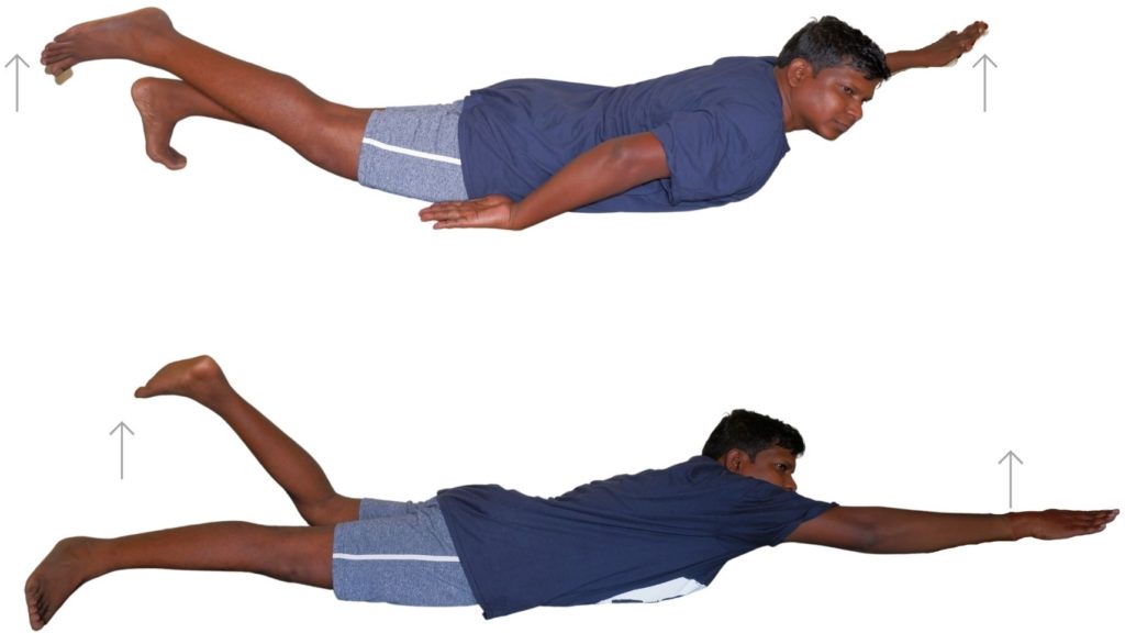 chronic low back pain exercises