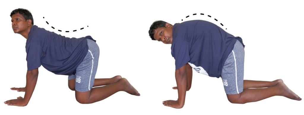 core exercise for chronic back pain