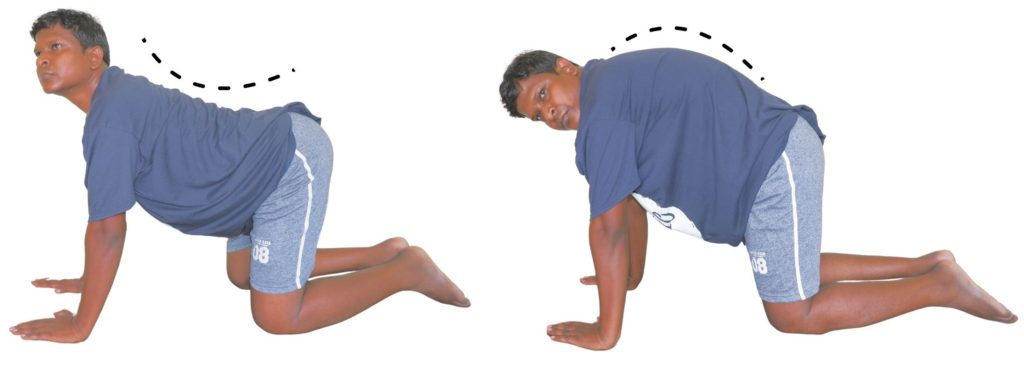 how to fix lower back stiffness by cat camel exercise