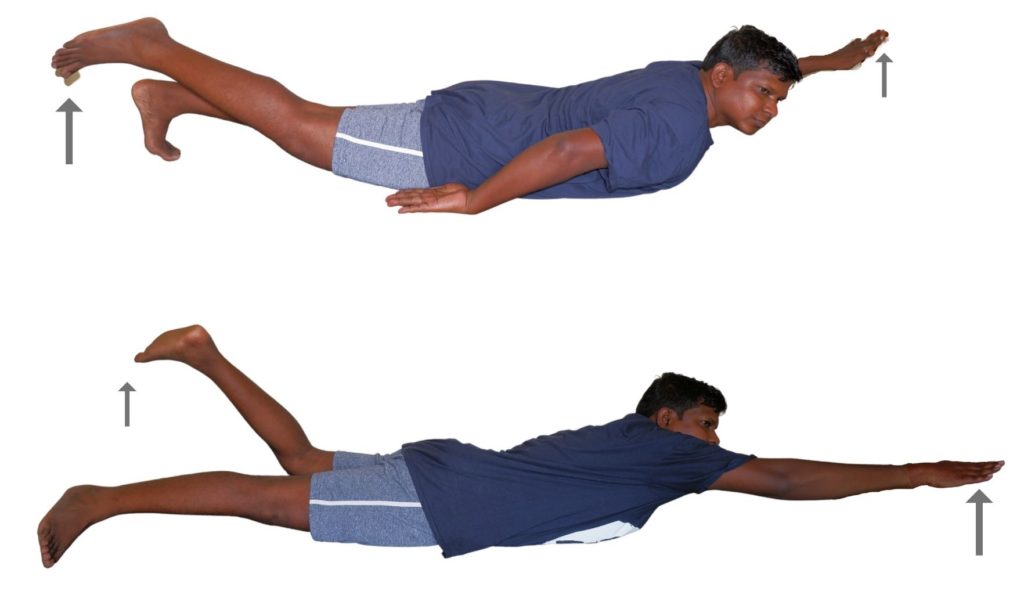 Straight leg and hand raise in prone strength exercise for spine