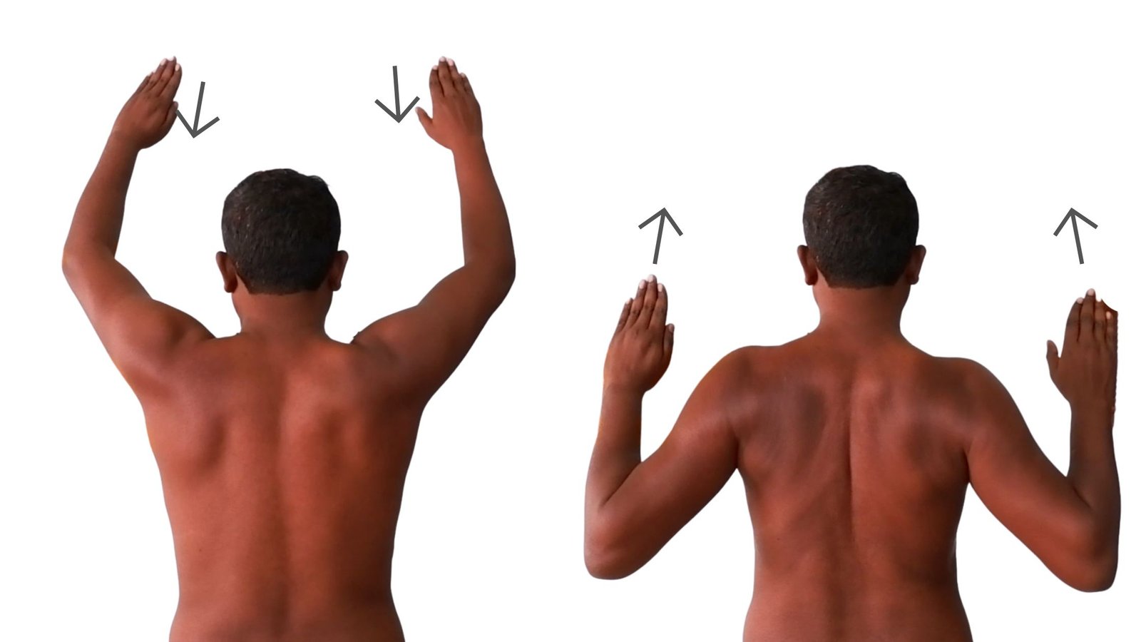 6 Super Effective Exercises To Correct Winging Of Scapula With Videos 6 Super Effective Exercises To Correct Winging Of Scapula With Videos