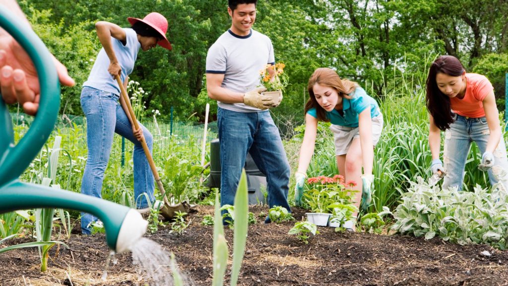 Why to Start gardening today to Improve Your Health & Well-Being