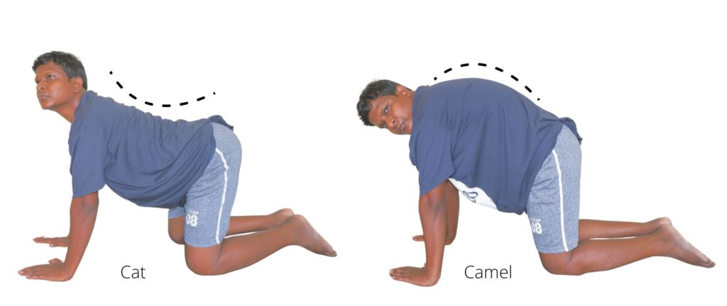 cat camel exercises for sciatica treatment