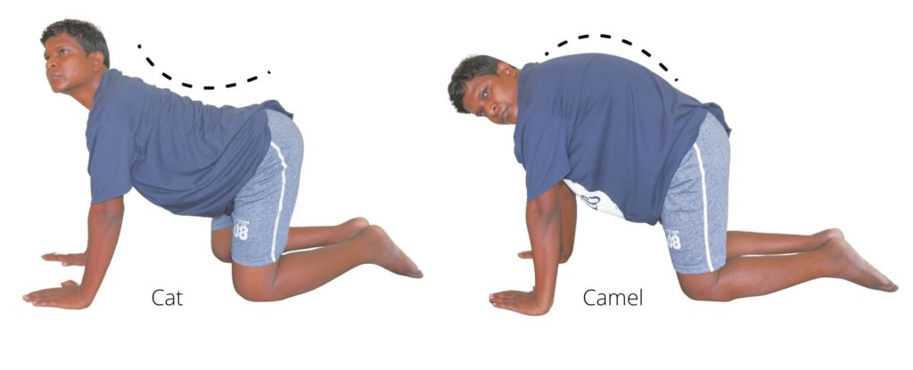 cat camel sciatica exercise relief