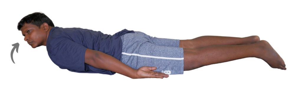 chest raise in prone exercise for sciatica