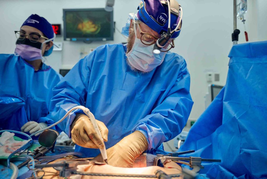 pig kidney transplanted to human Robert Montgomery NYU langone health