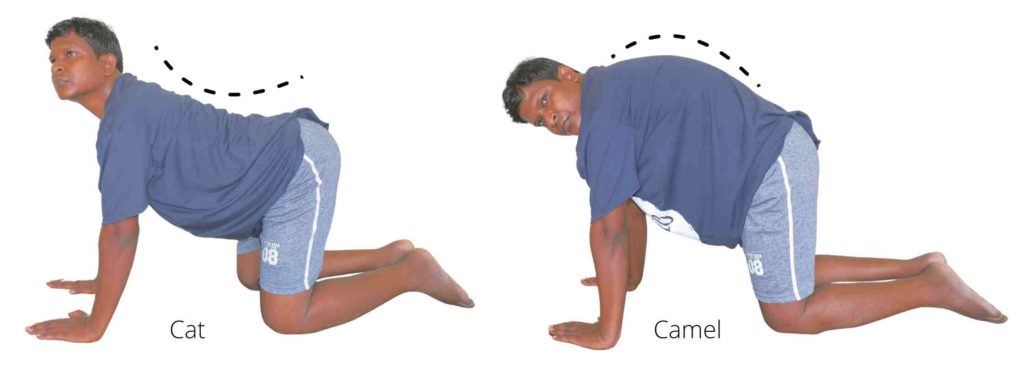 Cat-camel physical therapy exercises for lower back strain