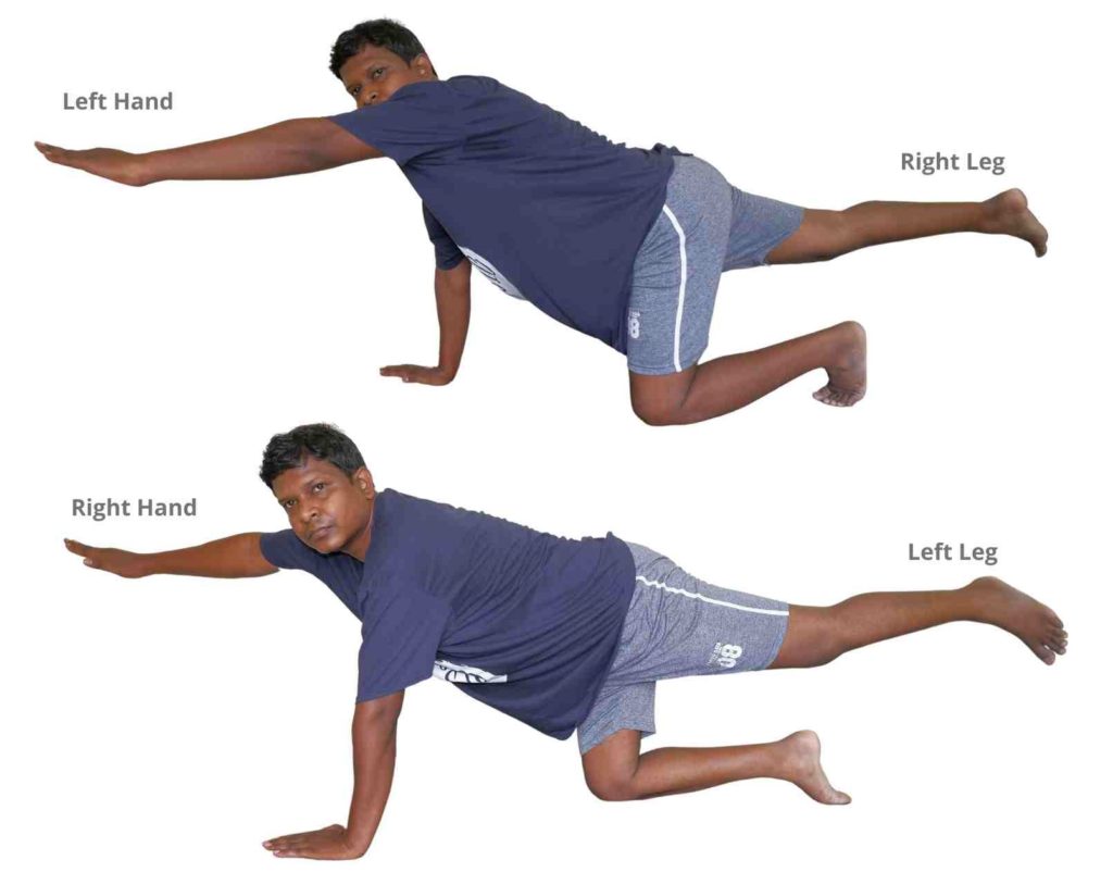 Hand and leg raise in quadruped position