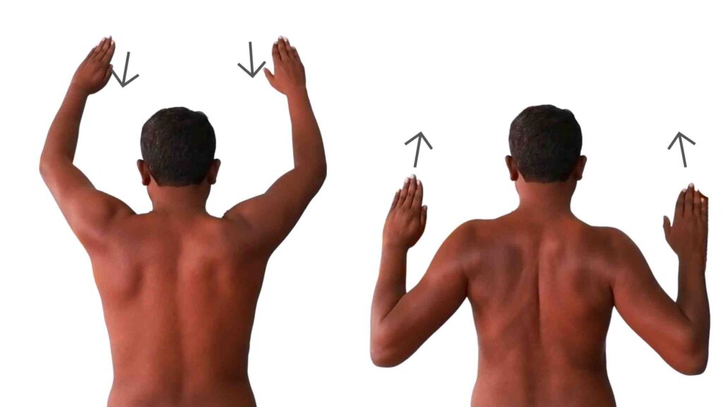 Wall angels exercise for snapping scapula